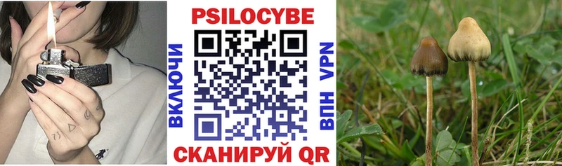 Галлюциногенные грибы GOLDEN TEACHER  Шагонар 